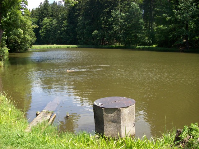 Černovice rybník